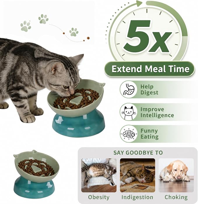 Ceramic Slow Feeder Cat Bowl, 15-Degree Tilted Non-Slip | Food-Grade Ceramic For Indoor Cats, 5.3 In Shallow Bowl, Whisker-Friendly, Dry And Wet Food, Dishwasher Safe - Image 3