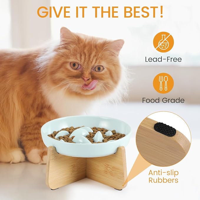 PETTOM Slow Feeder Cat Bowl with Stand, Ceramic Slow Eating Cat Bowl with Higher Edges Fish Pool Design Elevated Food Bowls for Dry and Wet Food Anti-Vomiting Puzzle Feeder for Healthy Eating Diet - Image 6