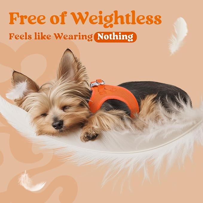 rabbitgoo Step-in Small Dog Harness, Puppy Vest for Small Medium Sized Pet | Easy Put on and off, Lightweight, Soft, Breathable Quick-Dry Air Mesh for Comfortable Secure Walking, Orange L - Image 4