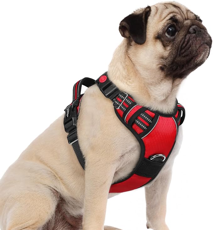 rabbitgoo Dog Harness Small Sized, No Pull 3 Buckles Easy On & Off | Soft Padded, Walking with Control Handle, Adjustable and Reflective, Red, Small by rabbitgoo