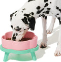 VETRESKA Elevated Dog Bowls Large Breed, 40 oz Ceramic Raised Dog Bowl | Flower-Shaped Food Water Bowl with Bamboo Stand, Feeding Dish Bowls for Medium/Large Dogs and Cats by VETRESKA