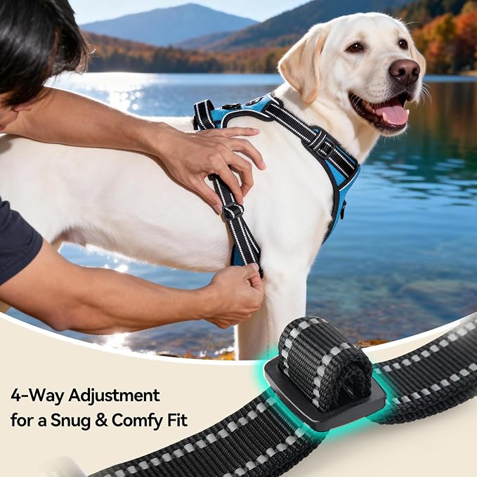 No Pull Dog Harnesses for Small Puppies Reflective Adjustable | Front Clip Vest with 2 Metal Leash Attachment Hooks Soft Handle(XS, Blue) - Image 6