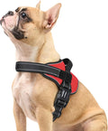 rabbitgoo No Pull No Choke Pet Vest, Adjustable Pet Harness with Molle | Small Sized Dog Harness, Reflective, Easy Wearing with One Buckle for Walking, Training, Red, S by rabbitgoo