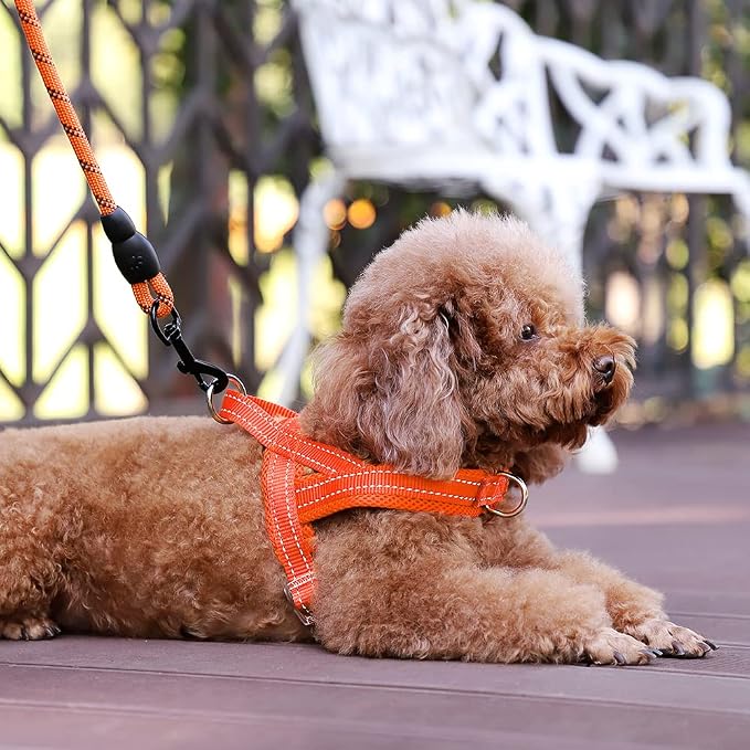Plutus Pet No Pull Dog Harness for Puppy Small Dogs, Breathable Mesh Padded | Adjustable Reflective with Handle, Escape Proof, Quick Fit Pet Vest, Front Clip, for Training and Walking, Orange, XS - Image 5