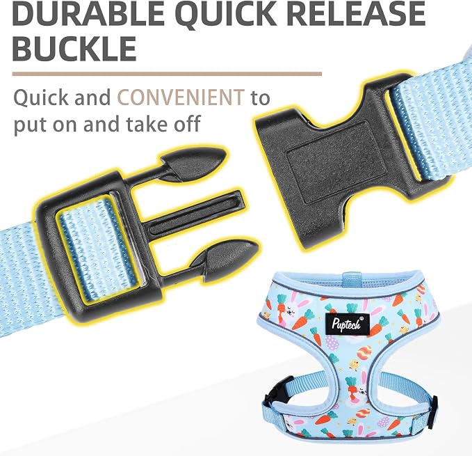 PUPTECK Small Dog Harness and Leash Set No Pull for XS XXS Sized Dogs Puppy | Escape Proof No Choke Pet Cat Adjustable Soft Padded Walking Vest - Image 4