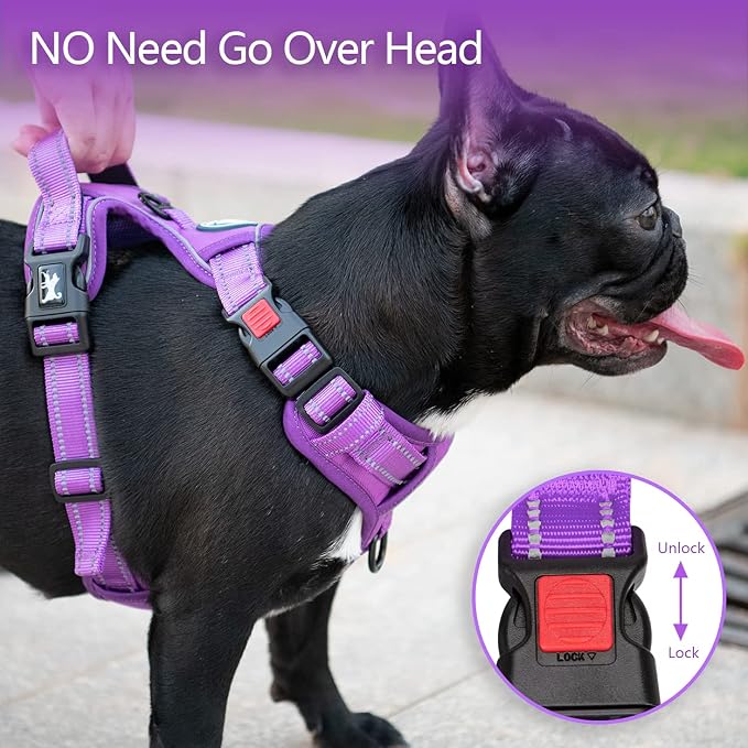 PoyPet No Pull Dog Harness, Reflective Vest with 2 Leash Clips & Handle | Lockable Neck Release Buckle, No Choke, Adjustable, Soft Padded, for Walking Training, Purple Matching Trim, Large - Image 2