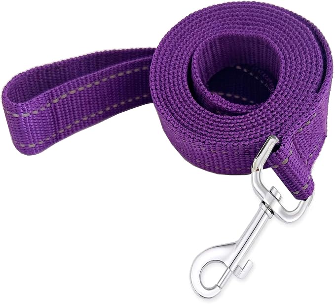 Reflective Dog Leash 4Ft /5 Foot /6 Feet Long, 1 Inch Wide, for Small and Medium Dogs by TAIDA