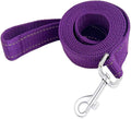 Reflective Dog Leash 4Ft /5 Foot /6 Feet Long, 1 Inch Wide, for Small and Medium Dogs by TAIDA