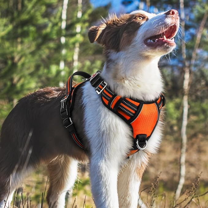 rabbitgoo Dog Harness Medium Sized, No Pull 3 Buckles Easy On & Off | Soft Padded, Walking with Control Handle, Adjustable and Reflective, Orange, Medium - Image 8