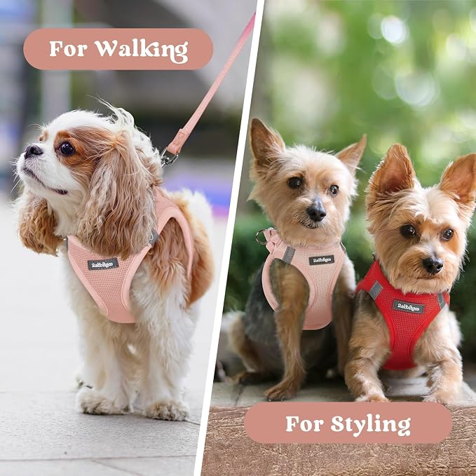 rabbitgoo Step-in Small Dog Harness, Puppy Vest for Small Sized Pet | Easy Put on and off, Lightweight, Soft, Breathable Quick-Dry Air Mesh for Comfortable Secure Walking, Pink XXXS - Image 9
