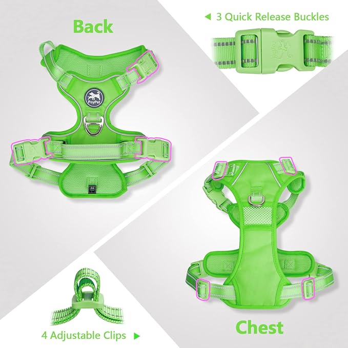 PoyPet No Pull Dog Harness, Reflective Vest with 2 Leash Clips & Handle | Lockable Neck Release Buckle, No Choke, Adjustable, Soft Padded, for Walking Training, Green Matching Trim, Small - Image 6