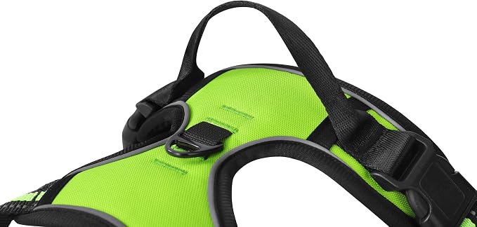 Green No-Pull Dog Harness with 2 Leash Clips，Soft Padded Vest for Large Dog, Adjustable Reflective Dog Vest Easy to Put on and Take Off, (Neck: 17"~24", Chest: 24"~32",Green L) - Image 3