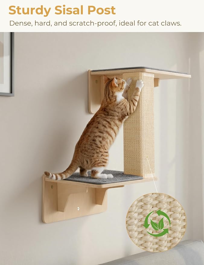 Pecute Double Cat Shelves with Scratching Post for Wall & Window | Solid Wood Frame, Strong Suction Cups, Washable Cover Mat, Cats Perch Bed for Birds Watching Inside, Indoor Cat Hammock Bed - Image 4