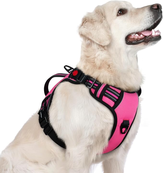 rabbitgoo Large Dog Harness, Easy Wear with 3 Buckles and Lift Handle | No Pull with Front Clip for Walking, Adjustable Soft Padded, Reflective, Easy Control, Pink, Large by rabbitgoo