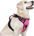 rabbitgoo Large Dog Harness, Easy Wear with 3 Buckles and Lift Handle | No Pull with Front Clip for Walking, Adjustable Soft Padded, Reflective, Easy Control, Pink, Large by rabbitgoo