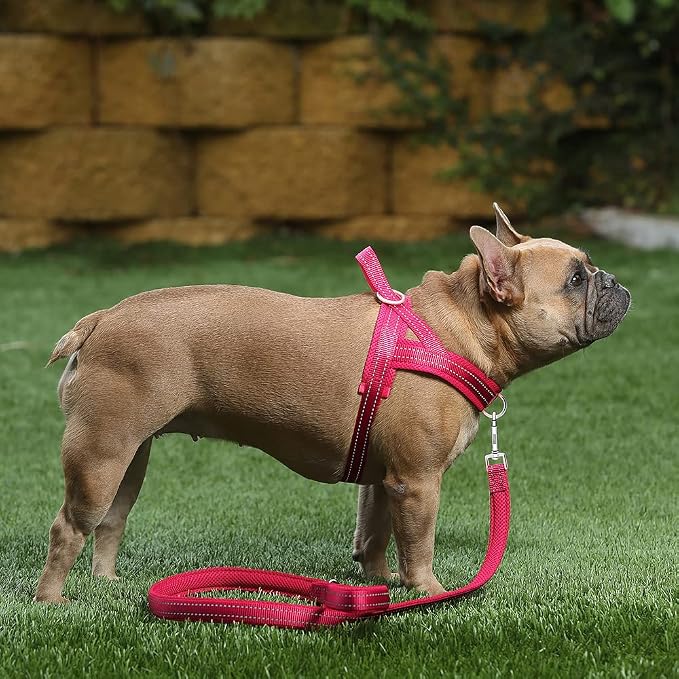 Plutus Pet No Pull Dog Harness for Medium Sized Dog, Breathable Mesh Padded | Adjustable Reflective with Handle, Escape Proof, Quick Fit Pet Vest, Front Clip, for Training and Walking, Pink, M - Image 5