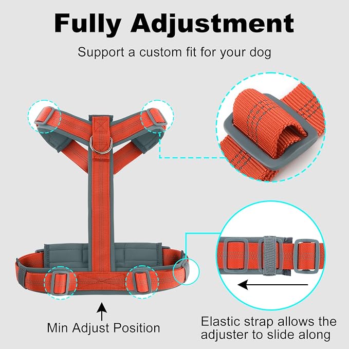 Plutus Pet No Pull Dog Harness, Adjustable Nylon Harness with Soft Padding | Reflective with Front Clip, Heavy Duty for Training and Walking, for Small Medium Large Dogs, Orange, S - Image 8