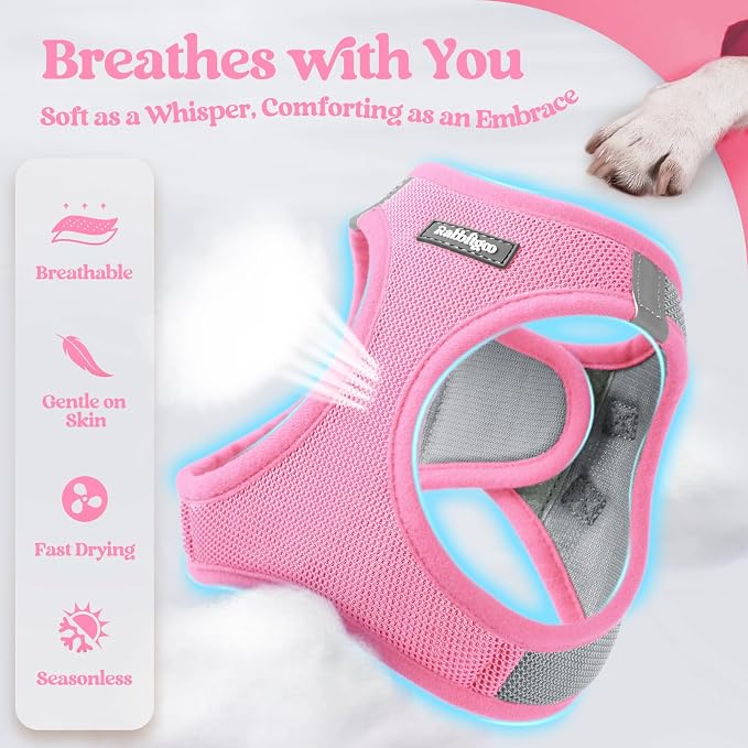 rabbitgoo Dog Harness Small Sized and Leash Set, Step-in Puppy Pet Vest | Light, Soft, Breathable Air Mesh, Easy on and Remove with Hook & Loop, Secure Reflective for Walking, Light Pink & Gray M - Image 3