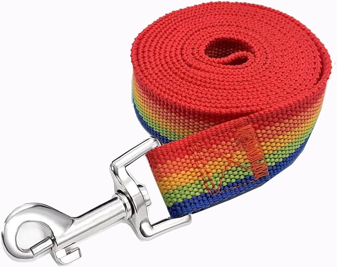 Strong Nylon Dog Leash, 4FT/ 5 FT/ 6FT Dog Leashes for Small Medium Dogs - Image 3