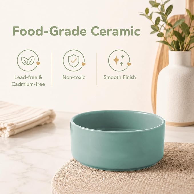 Havniva Ceramic Dog Bowls Elevated, Raised Dog Food Bowl for Puppies | 5.1” Elevated Dog Bowls, Non-Slip Wood Stand, Dog Food and Water Bowl Set, Dog Feeding Dish, Large Capacity Pet Water Bowl - Image 3