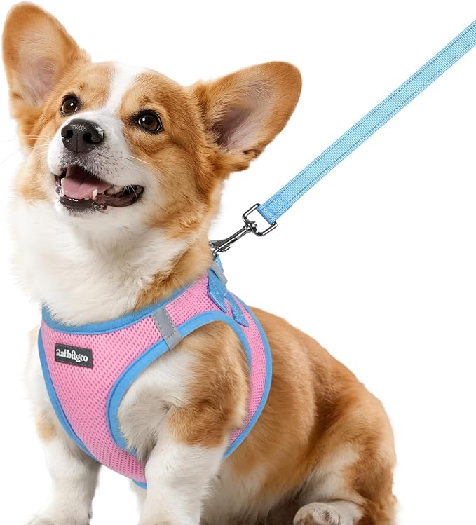 rabbitgoo Dog Harness Small Sized and Leash Set, Step in Soft Vest | Breathable Mesh, Easy Wear with Hook & Loop, Light and Reflective for Walking, Multi-colored, Pink & Blue, L by rabbitgoo