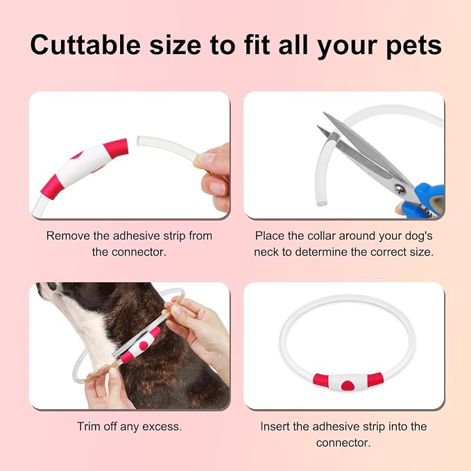 Led Dog Collar - Waterproof Lighted Doggie Collars for Night Rechargeable, High Visibility TPU Cuttable Lighted Pet Collar (Red) - Image 4