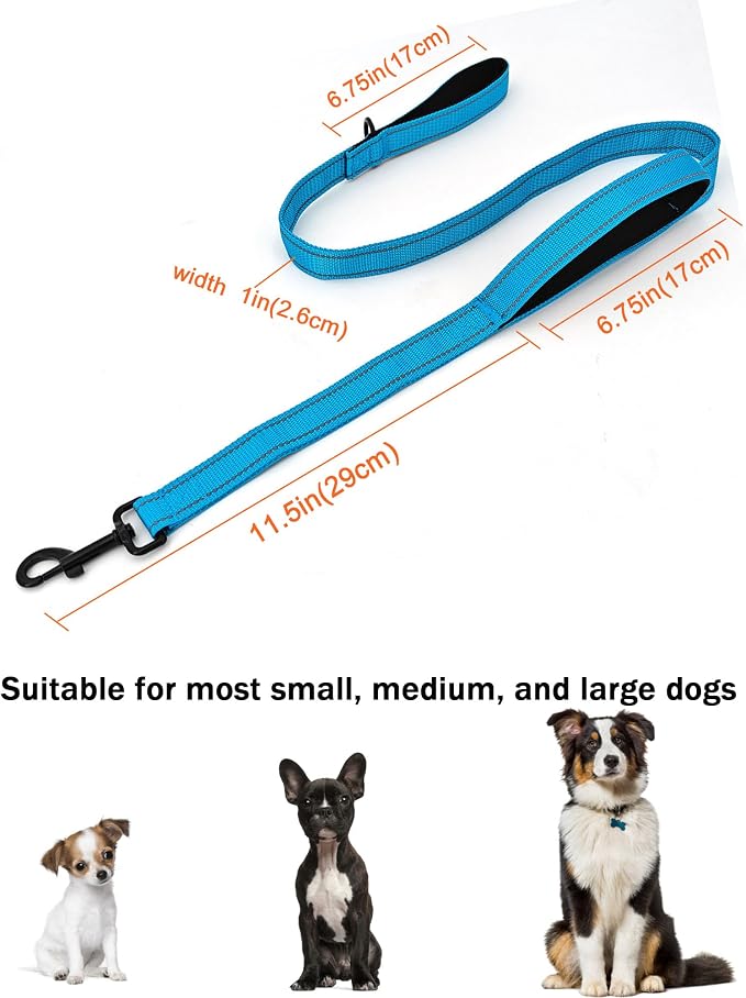 Solmoony 4FT Blue Strong Dog Leash with 2 Padded Handles, Traffic Handle Extra Control, Double-Sided Reflective Walking Lead for Small Medium and Large Dogs(Blue, 4FT) - Image 5