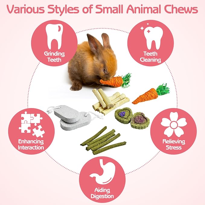 PINVNBY Large Rabbit Tunnel，Collapsible Rabbit Tunnels for Indoor Bunnies Bunny Hideout with 5 Types of Chewing Toys for Ferret Kitten Small Animals (T Shape) - Image 6