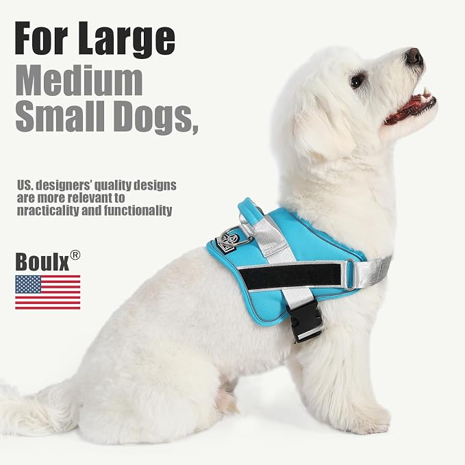 Dog Harness, No-Pull Reflective Dog Vest, Breathable Adjustable Pet Harness with Handle for Outdoor Walking - No More Pulling, Tugging or Choking (OceanicBlue, Medium (Pack of 1)) - Image 5
