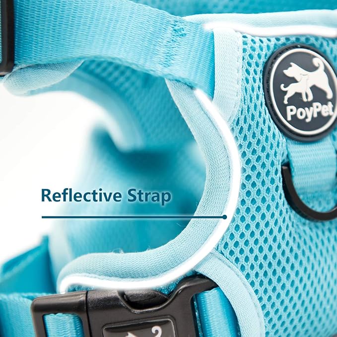 PoyPet Mesh Dog Harness, Reflective Breathable Puppy Vest for Small Dogs | Lightweight, Soft Air Mesh, Back D-ring, Adjustable, Comfortable, Double Padded, No Choke, for Daily Walking, S, Light Blue - Image 4