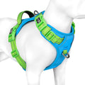No Pull Dog Harness, Unique Colors Reflective Adjustable Dog Vest | with Soft Training Handle Metal Clips for Small Medium Large Dogs (Blue Base & Green Straps,XL) by PHOEPET