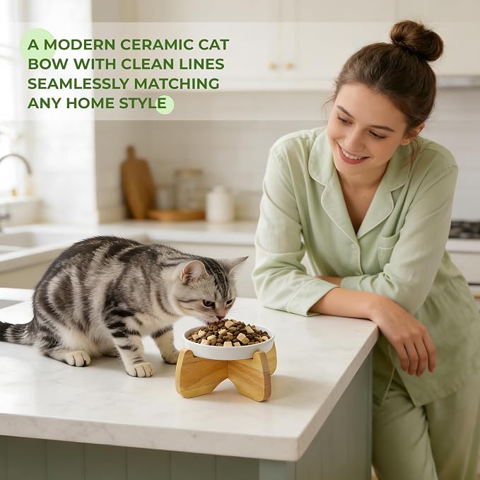 Raised Ceramic Cat Bowl 6.3" Wide Shallow Flat Bottom (1 Pack) | Neck Protective, Anti Whisker Fatigue, Anti Vomit, Dishwasher Safe, For Dry and Wet Food, For Kittens & Seniors - Image 7