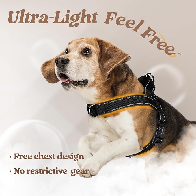 rabbitgoo Dog Harness No Pull, Quick Fit for Medium Sized Dog, Reflective | Chest Adjustable Pet Vest with Soft Padded Handle, No Choke Escape Proof for Walking Training, Black M - Image 5