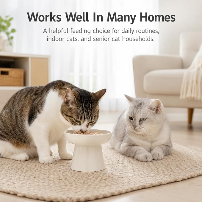 Cat Slow Feeder Bowl, Ceramic Elevated Cat Slow Feeder Bowl, Shallow Wide Opening Dish for Kitty, Anti Vomiting for Dry and Wet Food, Anti-Slip Design, White - Image 5