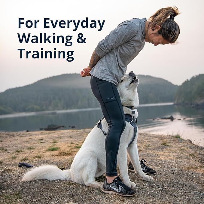 Ruffwear, Front Range Dog Harness, Reflective Soft Padded Everyday Harness with Dual Leash Clips, Adjustable and Lightweight Fit for Training or Walking for All Dogs, Blue Pool, Small - Image 3