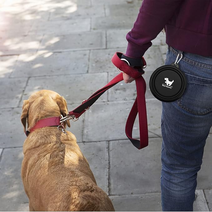 Collapsible Dog Bowls, 2 Pack Sturdy Portable Dog Water Bowls | Wear-Resistant TPE, Anti-Dust Foldable Travel Dog & Cat Bowls for Camping Walking Hiking with Carabiners - Image 7