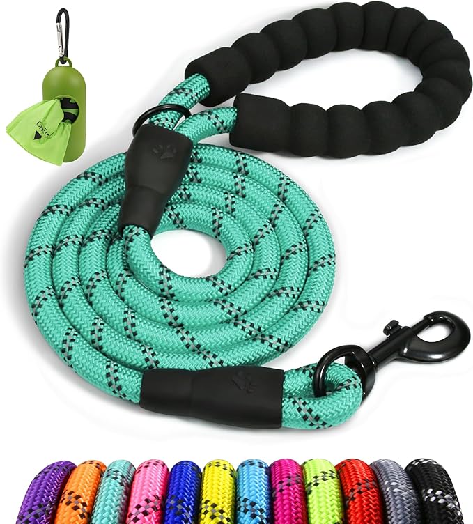 Taglory Rope Dog Leash for Medium Large Dogs, 6 FT Padded Handle, Turquoise | Climbing Rope for Strong Pullers, Reflective for Night Walks and Training, Comfortable Grip, Anti-tangle Swivel Clip 1/2 inch by Taglory