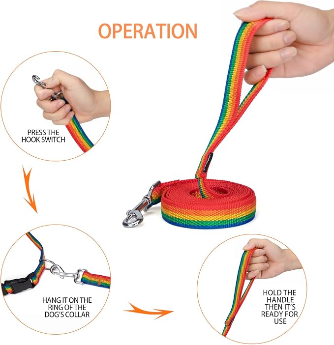 Strong Durable Nylon Dog Training Leash, 1 Inch Wide Traction Rope, 6 ft 10ft 15ft Long, for Small and Medium Dog (Rainbow, 10 Feet) - Image 4
