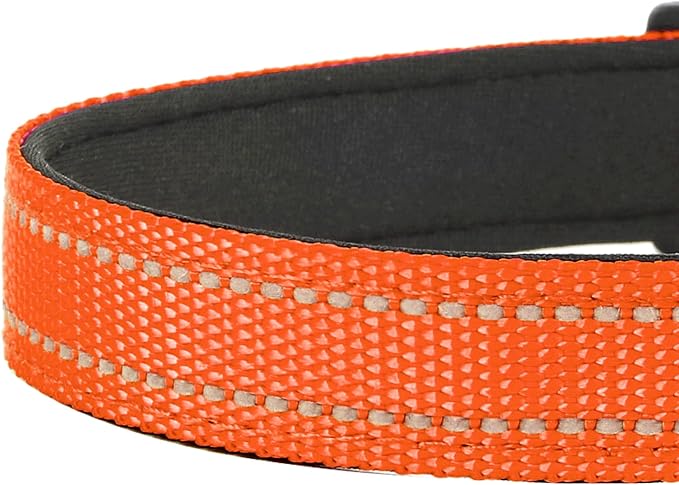 Reflective Dog Collar, Adjustable Soft Neoprene Padded,Orange,S | Breathable Nylon for Small Dogs,Tear-Resistant Webbing,Chafe‑Free on Walks and Hikes,Metal D-Ring,Night Safety - Image 5
