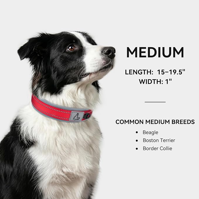 Joytale Reflective Dog Collar for Medium Dogs with Wide Padding, Red | Soft Cushion Reduce Neck Strain, Night Safety Walking, Metal Buckle and Adjustable Eyelets, Separated Dog ID Tag Ring - Image 5