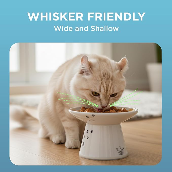 Necoichi Ceramic Extra-Wide Elevated Cat Food Bowl (Cat, Extra Wide) - Image 5