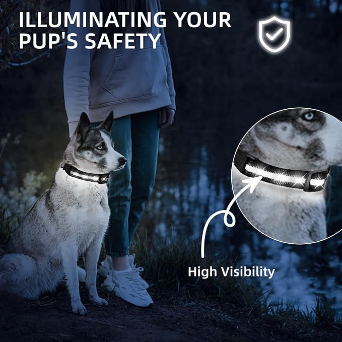 Super Bright LED Dog Collar, Waterproof Light up Collars(White, Medium) | Lighted Dog Collar with Adjustable Fit, Soft Nylon Comfort, USB-C Rechargeable, Glow in the Dark Visibility for Night Walks - Image 3