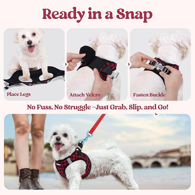 rabbitgoo Dog Harness Small Sized and Leash Set, Step-in Puppy Pet Vest | Light, Soft, Breathable Air Mesh, Easy on and Remove with Hook & Loop, Secure Reflective for Walking, Red Check XS - Image 8