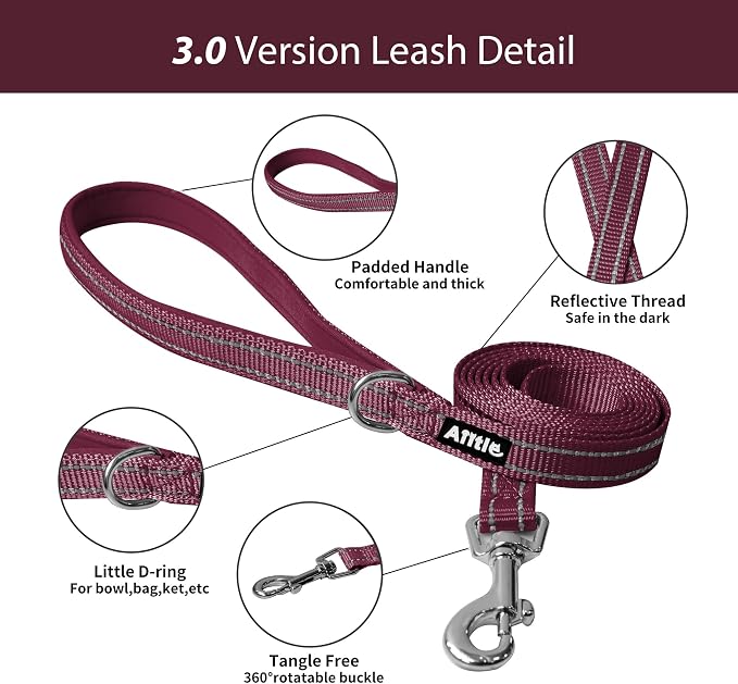 AIITLE Dog Harness and Leash Set, Step-in Puppy Pet Vest, Burgundy M | Breathable Mesh, Adjustable Fit, Reflective Design, Padded Leash Handle, for Small-Medium Dogs & Cats, Walking, Training - Image 5