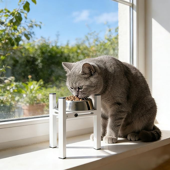 Elevated Cat Bowl Stand Good for Senior Cats Digestion Arthritis Relief - Adjustable Metal Feeder Riser, Fits 5.1-7.45” Round Bowls (No Bowls)(White) - Image 2