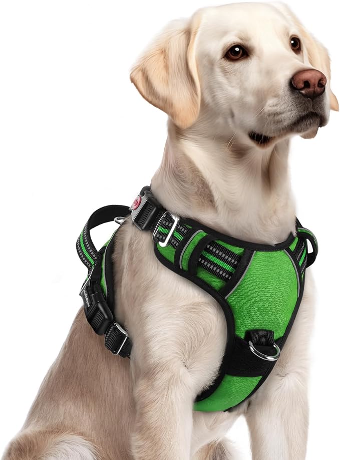 rabbitgoo Dog Harness for Large, No Pull 3 Buckles Easy On & Off | Soft Padded, Walking with Control Handle, Adjustable and Reflective, Green, Large by rabbitgoo