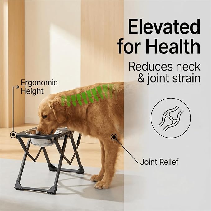 Foldable Elevated Dog Bowl Holder with 2 Large 58oz Stainless Steel Bowls, 10.2" Tall Raised Dog Bowl Stand for Medium/Large Breeds with Silicone Mat, Indoor and Outdoor Use - Image 2