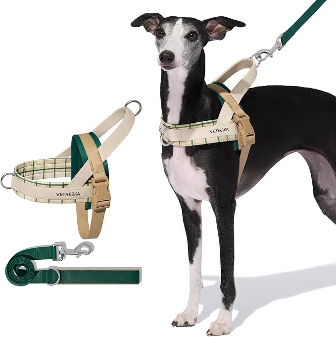 VETRESKA Dog Harness and Leash Set, Easy Walk Dog Harness, M | for Small Medium Dogs, No Pull Puppy Harness for Walking and Training, Adjustable, Anti-Twist Leash (Santal Forest) - Image 8