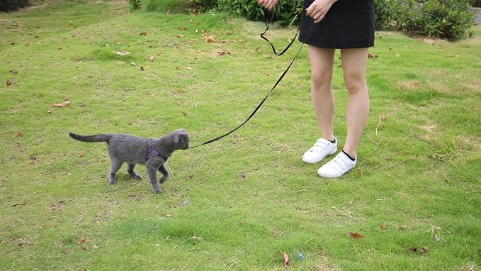 AMAGOOD 6 FT Cat Leash, Strong and Durable Traditional Style Leash with Easy to Use Collar Hook,Cat Lead Great for Cats (3/8 in x 6 ft,Black and Green(2-Pack)) - Image 3