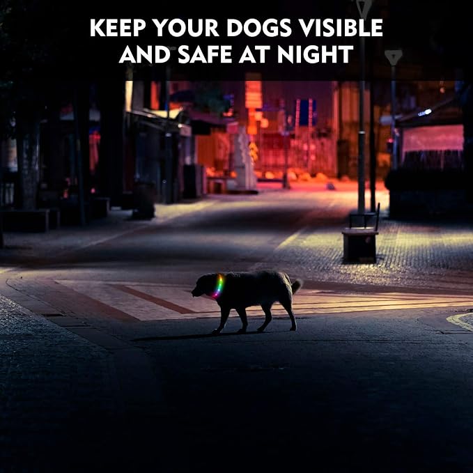 LED Dog Collar, Rechargeable RGB Color Changing Light Up Dog Collars, Waterproof Dog Lights Make Pet Visible and Safety for Night Walking，Outdoor, Camping, for Small Medium Large Dogs - Image 3
